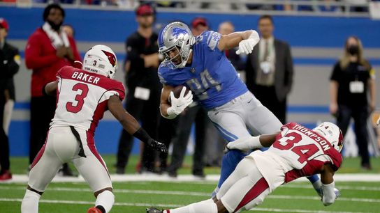 Lions strive to continue progress against Falcons (NFL)