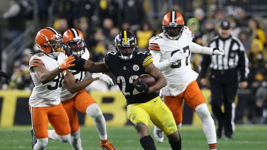 Steelers still in playoff hunt after defeating Browns (NFL)