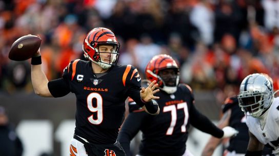 Bengals defeat Raiders for first playoff win since 1991 (NFL)