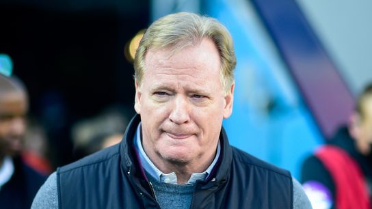 Goodell to NFL teams: Head coach diversity 'unacceptable' (NFL)