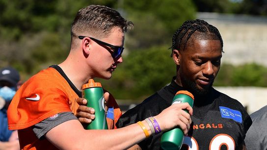 Going Camping: Cincinnati Bengals (NFL)