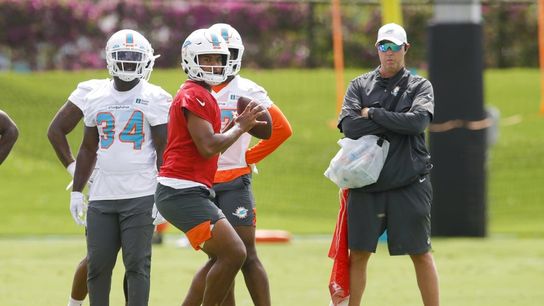 Going Camping: Miami Dolphins (NFL)
