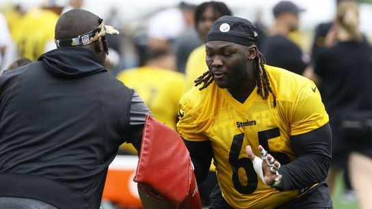 Steelers DT Larry Ogunjobi (toe) to play vs. Ravens (NFL)