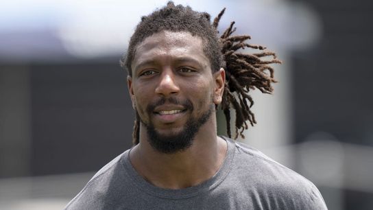 Report: Titans LB Bud Dupree gets probation for assault (NFL)