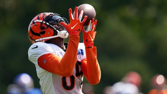 Bengals WR Tee Higgins (concussion) won't return vs. Steelers (NFL)