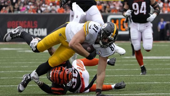 Reports: TE Zach Gentry to sign 1-year deal with Steelers (NFL)