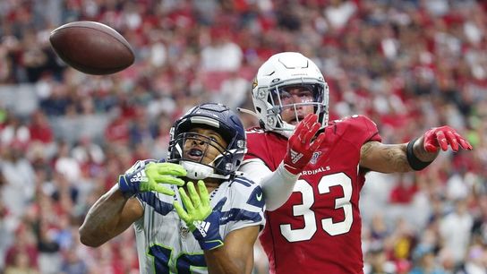 Seahawks stifle Cardinals, survive 19-9 (NFL)