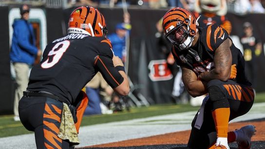 Bengals dominate early, cruise past Panthers 42-21 (NFL)
