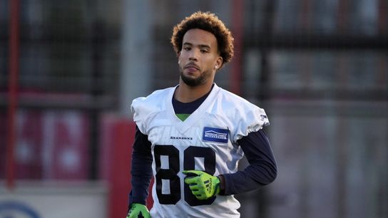 Seahawks WR Cade Johnson sustains concussion (NFL)
