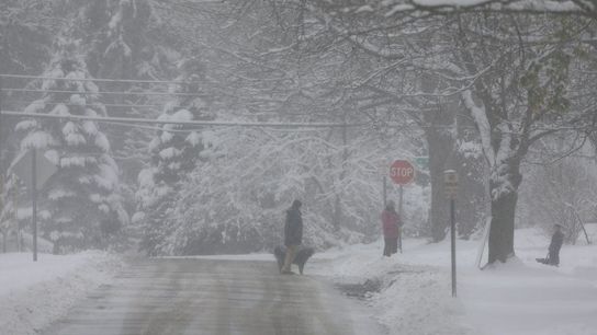 Bills escape snowy Buffalo, arrive in Detroit to face Browns (NFL)