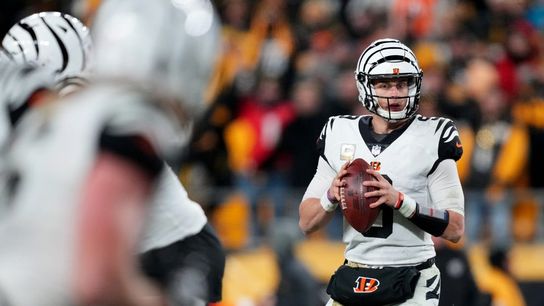 NFL roundup: Joe Burrow helps Bengals get revenge vs. Steelers (NFL)