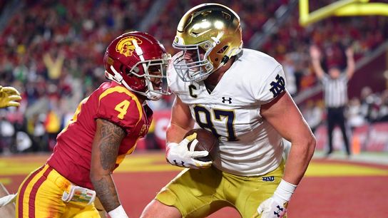 Notre Dame standout TE Michael Mayer to enter draft (College Football)