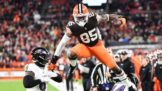Browns score lone TD to clip Ravens (NFL)