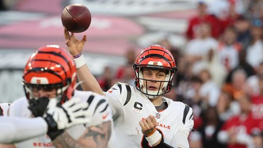 Bengals erase 17-point deficit to down Bucs (NFL)
