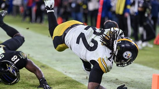 Steelers face Browns clinging to hopes of earning postseason berth (NFL)