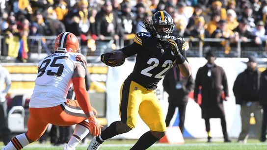 Steelers beat Browns but fall shy of playoff berth (NFL)