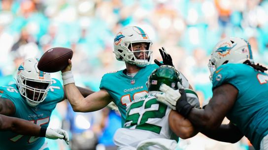 Dolphins down Jets to earn Wild Card spot (NFL)