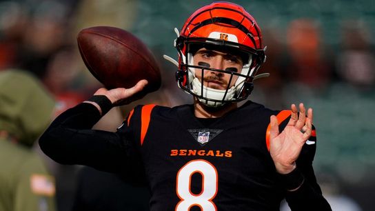 QB Brandon Allen among trio signed by 49ers (NFL)