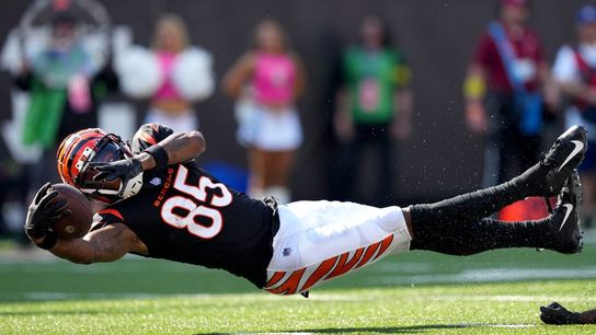 Bengals brass: WR Tee Higgins not on trade block (NFL)