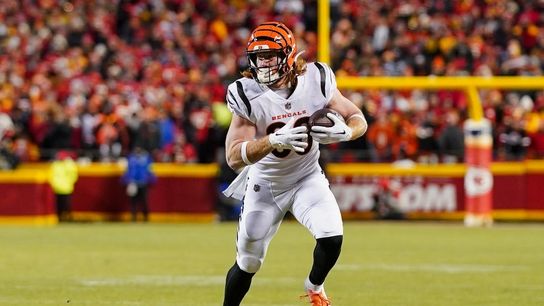 Reports: Panthers reach agreement with TE Hayden Hurst (NFL)