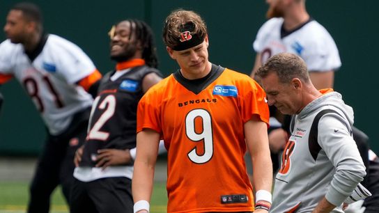 Bengals fire DC Lou Anarumo, three position coaches (NFL)