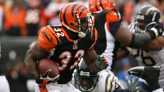 Report: Former Bengals RB Rudi Johnson dies at 45 (NFL)