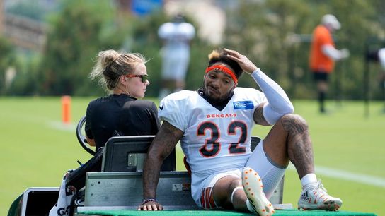 Bengals lose backup RB Trayveon Williams to ankle injury (NFL)