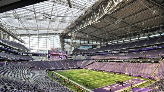 Vikings switching to safer turf version in 2024 (NFL)