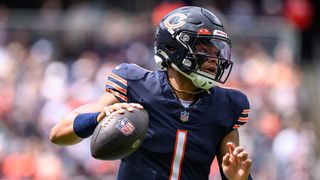 Bears offseason primer: QB question dominates planning (NFL)