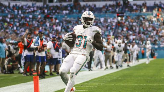 Dolphins recover from 14-point deficit to pound Panthers (NFL)