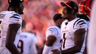 Bengals' Tee Higgins does not practice, Ja'Marr Chase returns (NFL)