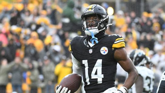 Steelers' Mike Tomlin calls WR drama 'pebble in my shoe' (NFL)