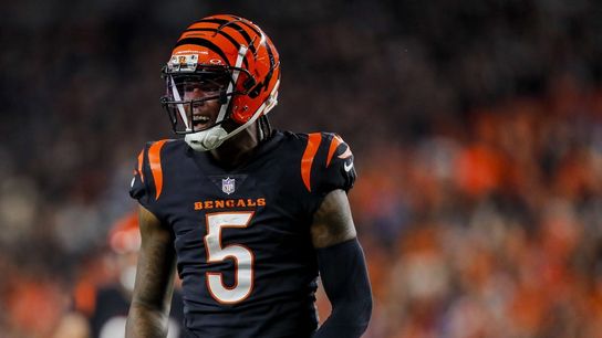 Bengals place franchise tag on WR Tee Higgins (NFL)