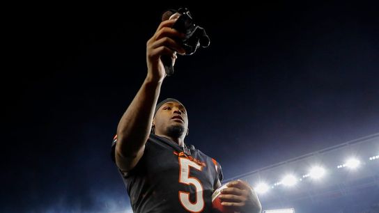 Bengals WR Tee Higgins (hamstring) out 3rd straight game (NFL)