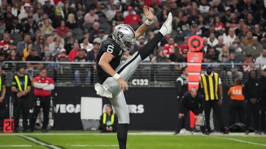 Report: Raiders make AJ Cole highest-paid punter in NFL (NFL)