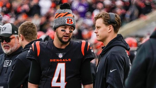 Bengals release backup QB AJ McCarron (NFL)