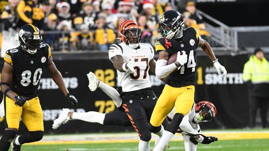 Steelers use big plays to bury Bengals (NFL)