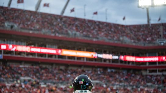 Panthers attempt playoff blockade; Jaguars in QB haze (NFL)