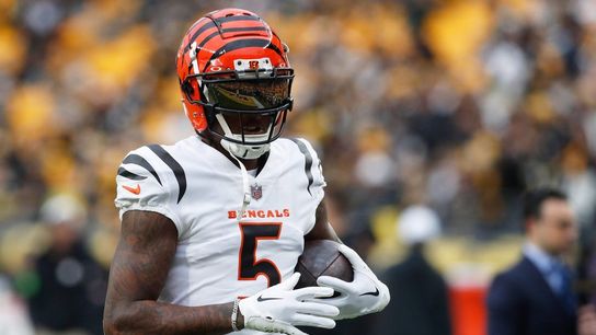 Report: Bengals expected to franchise tag WR Tee Higgins (NFL)