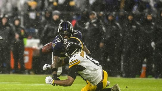 Giants sign WR Allen Robinson (NFL)