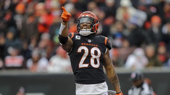 Bengals roll past Browns; entire AFC North finishes above .500 (NFL)