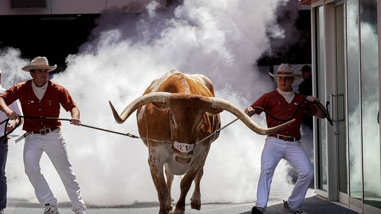 No bull, just dogs: Texas mascot banned, UGA's OK for SEC title game (College Football)