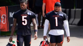 Daily drama continues with Bengals' star receivers (NFL)