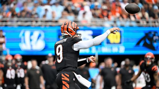 Bengals pull away from Panthers for first win of season (NFL)