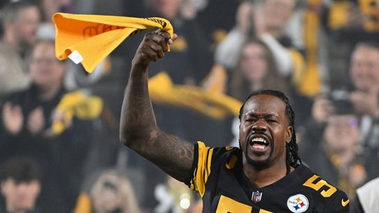 Steelers to honor Ben Roethlisberger, Maurkice Pouncey, Joey Porter Sr. (NFL)