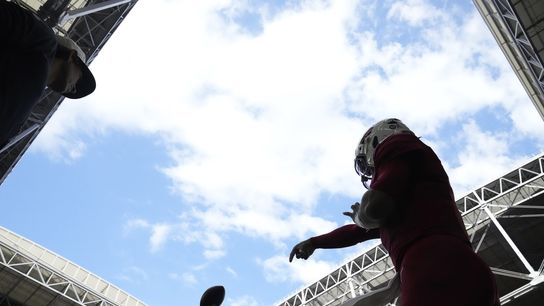 Week 10 NFL Capsules (NFL)