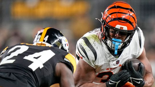 Bengals keep playoff hopes alive with victory over Steelers (NFL)