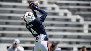 Auburn WR Malcolm Simmons arrested for domestic assault (College Football)