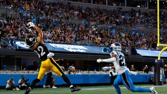 Four field goals send Steelers to victory over Panthers (NFL)