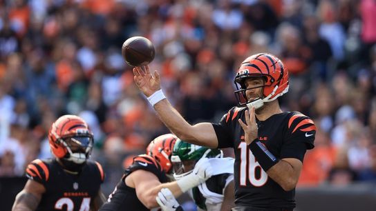 Bruised Bengals to battle baffled Bears (NFL)